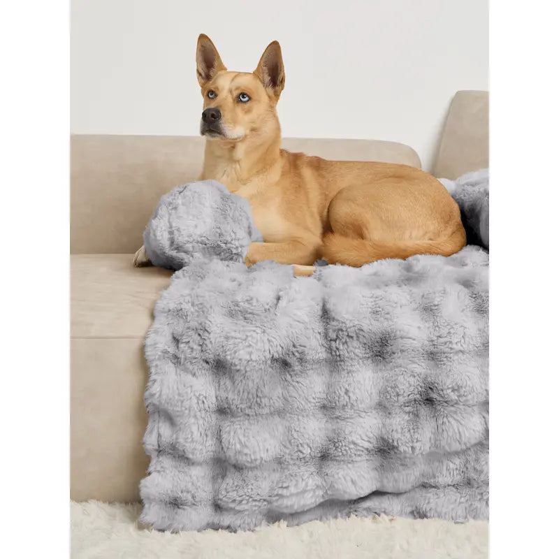 Dream Cloud Pet Sofa Bed