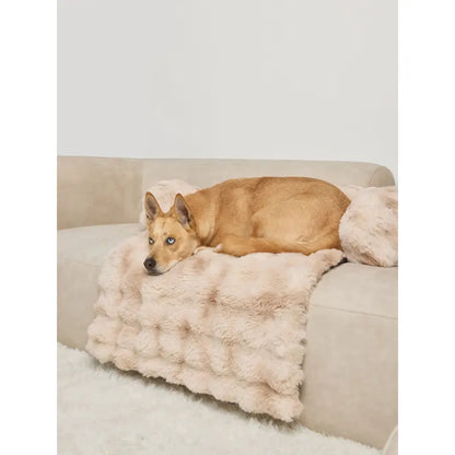 Dream Cloud Pet Sofa Bed