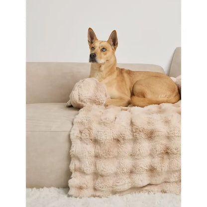Dream Cloud Pet Sofa Bed